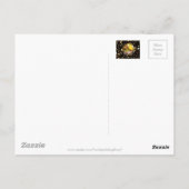 出生シーンクリブヴァージンメアリー乳児イエススターズ ポストカード (裏面)