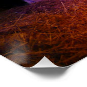 出生シーンChristmas Display in Washington DC ポスター (コーナー)