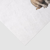 出生デザインコレクション8 薄葉紙 (詳細)