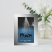 、出生宗教、クリスマス星、郵便はがき シーズンポストカード (スタンド正面)