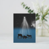 、出生宗教、クリスマス星、郵便はがき シーズンポストカード (スタンド正面)