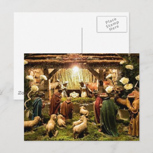 出生絵葉書 ポストカード (正面/裏面)