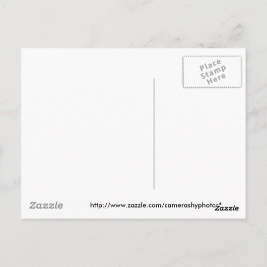 出生絵葉書 ポストカード (裏面)