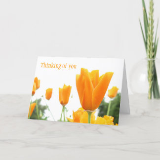 出産日カード カード