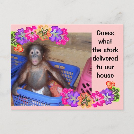 出産発表テンプレート 案内ポストカード (正面)