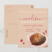 出産発表baby girl cute animalはがき ポストカード (正面/裏面)