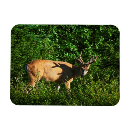 出発しよう マグネット (横)