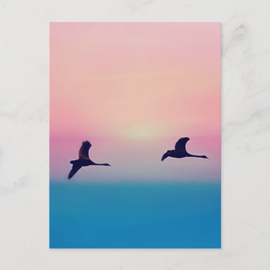 出航中の鵞鳥の三羽 ポストカード (正面)