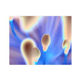 出芽宇宙花フローラプリントメタルウォールアート メタルプリント