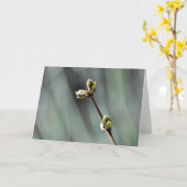 出芽空白の薄紫写真とグリーティングカード カード (黄色い花)