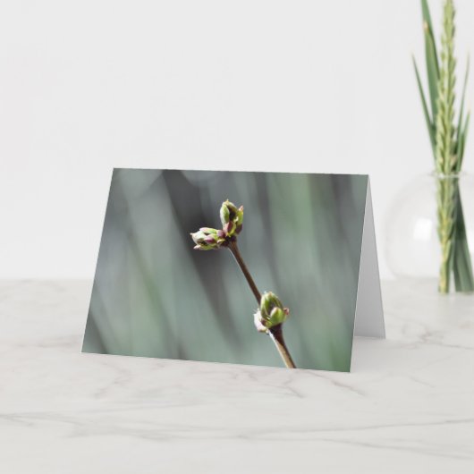 出芽空白の薄紫写真とグリーティングカード カード (正面)