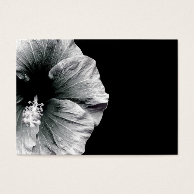 出芽美しい (正面)