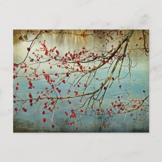 出芽 ポストカード (正面)