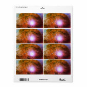 出荷ラベルスタイル及びデザイン ラベル (フルシート)