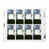 出荷住所 シールクールエコスタイルデザイン ラベル (フルシート)