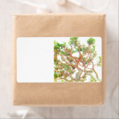 出荷住所 シール (インサイチュ)