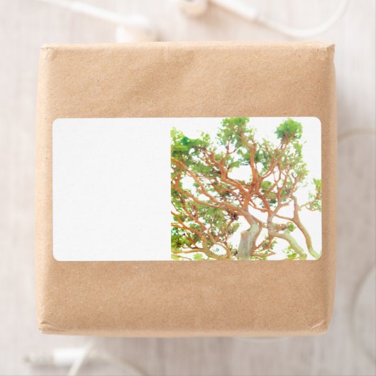 出荷住所 シール (インサイチュ)