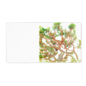 出荷住所 シール (正面)