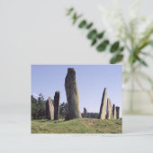 出荷設定 ポストカード (スタンド正面)