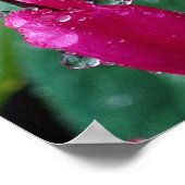 出血しているハート植物と水のいくつかの花 ポスター (角)