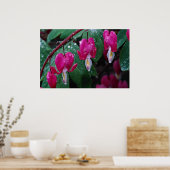 出血しているハート植物と水のいくつかの花 ポスター (キッチン)