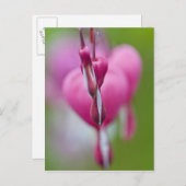 出血の劇的な色と形ハート ポストカード (正面/裏面)