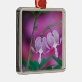 出血ハートが庭でつながっている。クレジット メタルオーナメント (右)