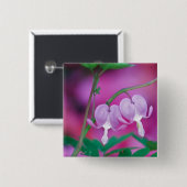 出血ハートが庭でつながっている。クレジット 缶バッジ (正面&裏面)