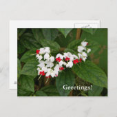 出血ハートつる植物はがき ポストカード (正面/裏面)