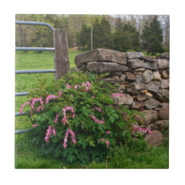 出血ハートタイル タイル