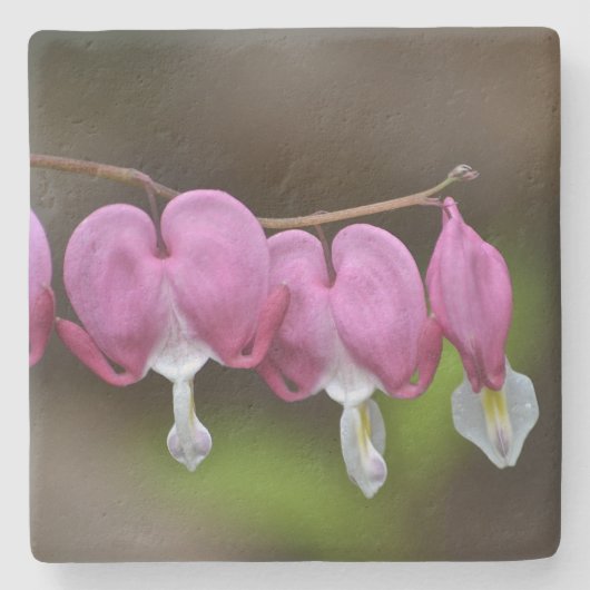 出血ハートフローラ ストーンコースター (正面)