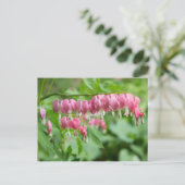 出血ハート写真はがき ポストカード (スタンド正面)