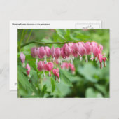 出血ハート写真はがき ポストカード (正面/裏面)