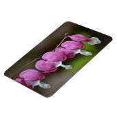 出血ハート大型磁石 マグネット (左側)