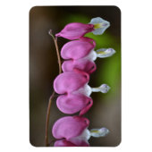 出血ハート大型磁石 マグネット (縦)