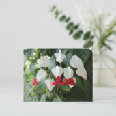 出血ハート植物性フローラ写真 ポストカード (スタンド正面)