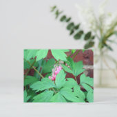 出血ハート科 ポストカード (スタンド正面)