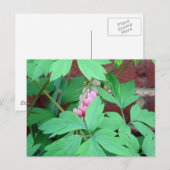 出血ハート科 ポストカード (正面/裏面)