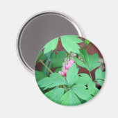 出血ハート科 マグネット (正面/裏面)