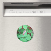 出血ハート科 マグネット (インサイチュ (食洗機))