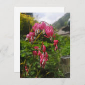 出血ハート花 (正面/裏面)