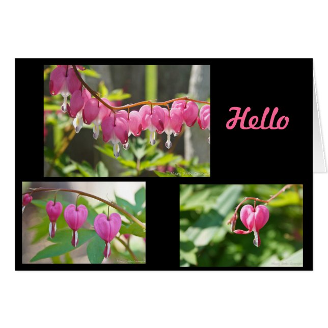 出血ハート花 (正面横)