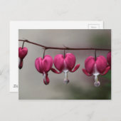 出血ハート花 ポストカード (正面/裏面)