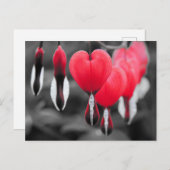 出血ハート花 ポストカード (正面/裏面)