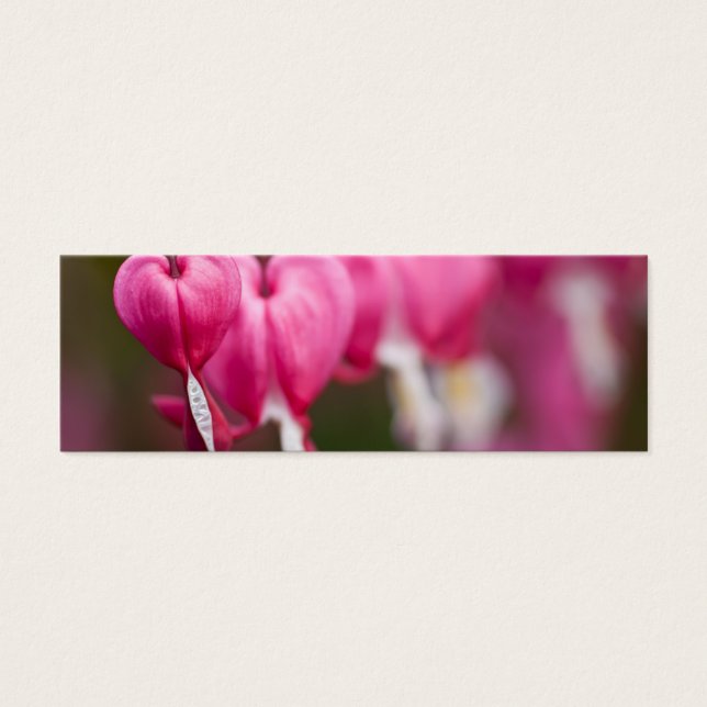 出血ハート (正面)