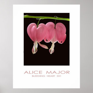 出血ハート331 ポスター