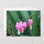 出血ハート ポストカード (正面/裏面)