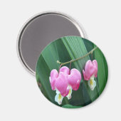 出血ハート マグネット (正面/裏面)