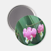 出血ハート マグネット (正面/裏面)