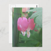 出血ハート～二つのハートを1つとして ポストカード (正面/裏面)